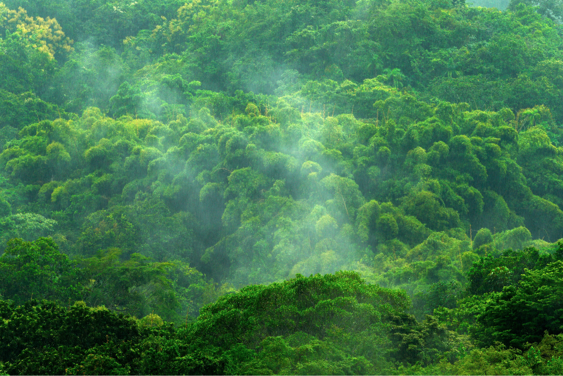 Creating Healthy Environments